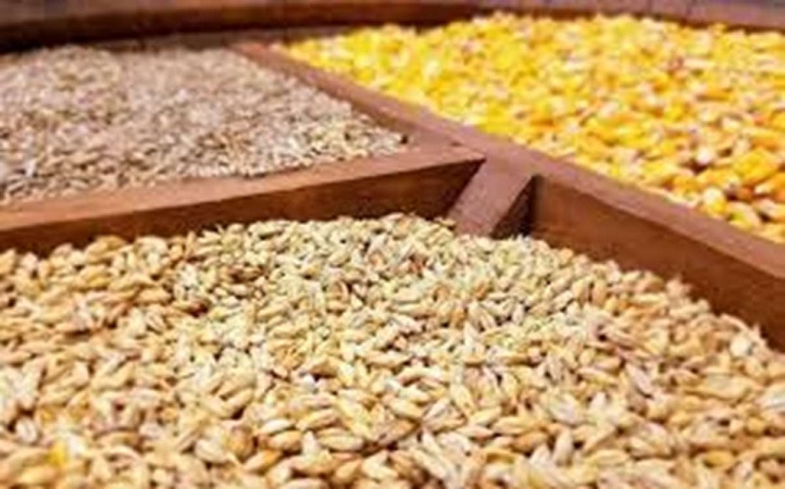 توزیع 140 هزار تن نهاده دامی میان عشایر کشور